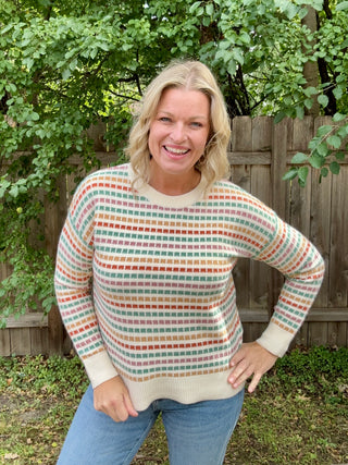 Crewneck Multi Color Textured Striped Long Sleeve Sweater