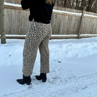 Vervet High Rise Wide Crop Leopard Print Jeans