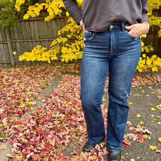 Tummy Control Risen High Rise Straight Leg