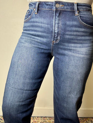 Risen High Rise Slim Barrel Jeans