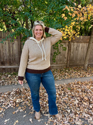 Brown Striped Hooded Long Sleeve Sweater