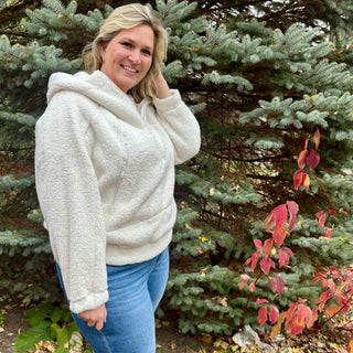 Sherpa Quarter Zip Hoodie