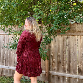 Wine Deep V-neck Velvet Mini Dress