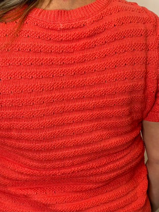 Coral Orange Pointelle Striped Crew Neck Short Sleeve Sweater